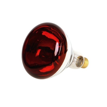 BEC INFRAROSU E27 250W 220V INCALZIRE