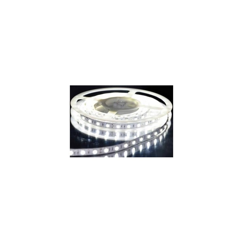 BANDA LED 12V IP20 5M 4.8W/M LR 6400K BANDA LED 12V IP20 5M 4.8W/M LR 6400K