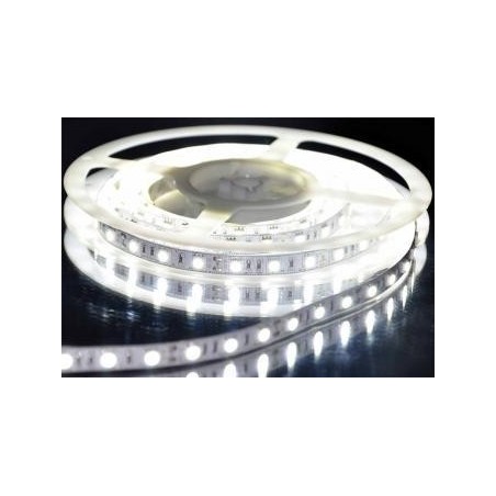 BANDA LED 12V IP20 5M 4.8W/M LR 6400K